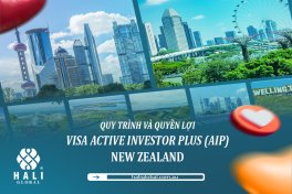 QUY TRÌNH VÀ QUYỀN LỢI VISA ACTIVE INVESTOR PLUS (AIP) – NEW ZEALAND