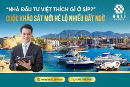 “NHÀ ĐẦU TƯ VIỆT THÍCH GÌ Ở CỘNG HOÀ SÍP?” – CUỘC KHẢO SÁT MỚI HÉ LỘ BẤT NGỜ