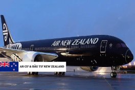 KẾT HỢP GIỮA VIETNAM AIRLINES &amp; AIR NEW ZEALAND – RÚT NGẮN HÀNH TRÌNH ĐẾN NEW ZEALAND CHO NGƯỜI VIỆT
