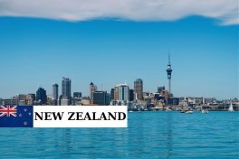 HỆ THỐNG Y TẾ NEW ZEALAND 2026:  CÁCH VẬN HÀNH VÀ QUYỀN LỢI CƯ DÂN