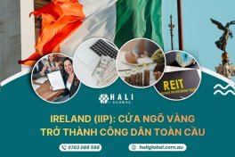 IRELAND IIP – CẤU TRÚC ĐẦU TƯ ĐỊNH CƯ CHIẾN LƯỢC TỪNG MỞ RA CÁNH CỬA VÀO EU VÀ ANH QUỐC
