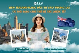 NEW ZEALAND ĐANG ĐẦU TƯ VÀO TƯƠNG LAI: CƠ HỘI NÀO CHO DU HỌC SINH QUỐC TẾ?