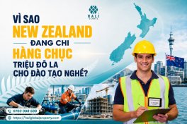 DU HỌC NGHỀ NEW ZEALAND: ĐẰNG SAU KHOẢN ĐẦU TƯ LỚN CHO ĐÀO TẠO KỸ NĂNG LÀ GÌ?