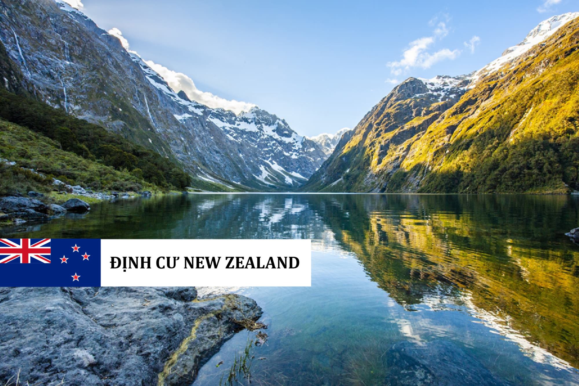 ACTIVE INVESTOR PLUS LÀ GÌ? CÓ GÌ THAY THẾ VISA 188 ÚC SAU KHI BỊ ĐÓNG CỬA?