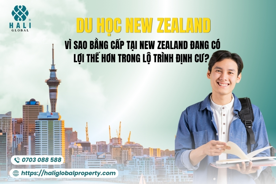 DU HỌC NEW ZEALAND: VÌ SAO BẰNG CẤP TẠI NEW ZEALAND ĐANG CÓ THÊM LỢI THẾ TRONG LỘ TRÌNH ĐỊNH CƯ?