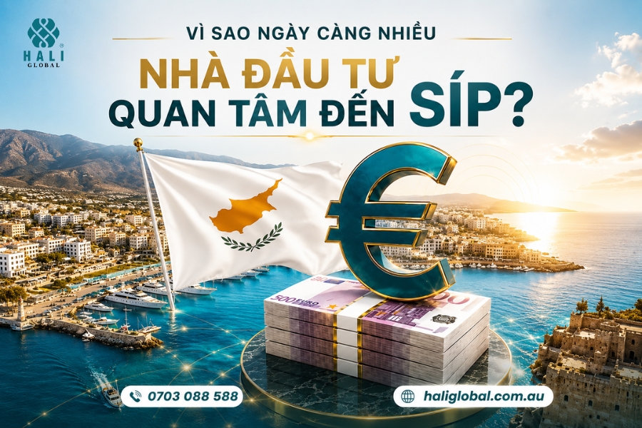 ĐẦU TƯ SÍP: VÌ SAO NGÀY CÀNG NHIỀU NHÀ ĐẦU TƯ QUỐC TẾ LỰA CHỌN SÍP?