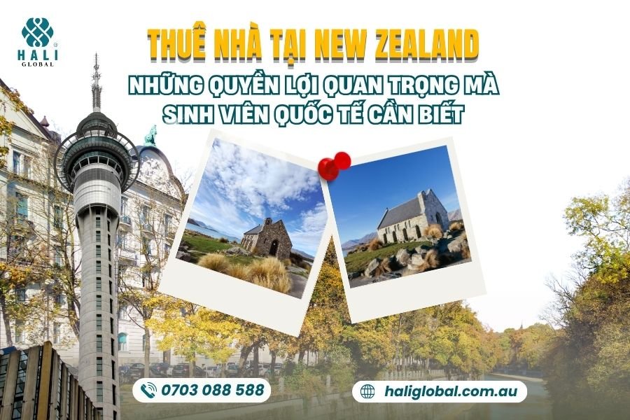 DU HỌC NEW ZEALAND: NHỮNG QUYỀN LỢI QUAN TRỌNG KHI THUÊ NHÀ MÀ SINH VIÊN QUỐC TẾ CẦN BIẾT