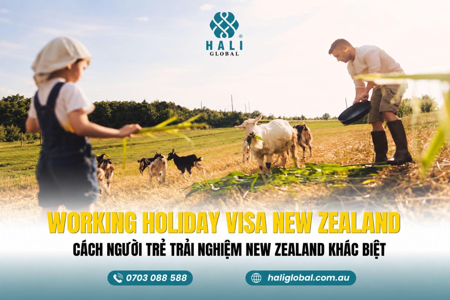 WORKING HOLIDAY VISA NEW ZEALAND 2026: ĐIỀU KIỆN VÀ CƠ HỘI CHO NGƯỜI VIỆT